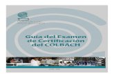 Guia de Estudio Colbach 1