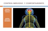 Control Nervioso y Comportamiento