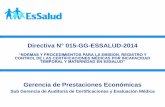 Presentac Direct 015 GG ESSALUD 2014