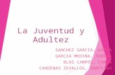 DIAPOSITIVA - JUVENTUD Y ADULTEZ. 1.ppt