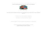 Trabajo Final Historia política y socio-económica de Colombia en el siglo XIX Sánchez Vargas Juan David..doc