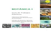 Guía de TP Botánica I 2014 (1)