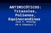 ANTIMICÓTICOS_ Polienos, Equinocandinas
