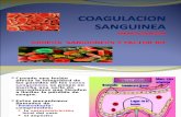 Coagulacin Sanguinea Grupos Sanguineos 1220770911454025 9