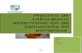 Determinacion de Salmonella en Alimentos
