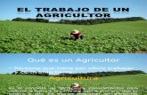 El Trabajo de Un Agricultor