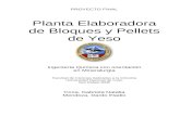 17324660 Proyecto Final Planta Elaboradora de Yeso Pelletizado y Bloques de Yeso