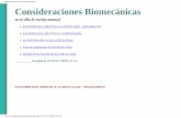 Biomecánica de Silla de Ruedas