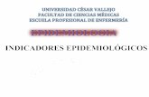 G.4 INDICADORES EPIDEMIOLOGICOS.pdf