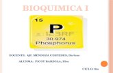 Fosforo Bioquimica 1