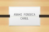 ANAHI FONSECA CANUL