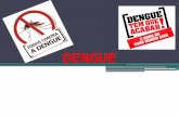 Dengue na Clínica Médica