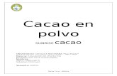 Proyecto Planta de elaboracion cacao en polvo