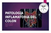 Patología Inflamatoria Del Colon - Inés Padrón