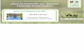 Rol de La Certificación en el Manejo Forestal Sustentable - André Laroze