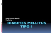 Diabetes Mellitus Tipo I