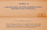 presentacion derecho penal II.pptx