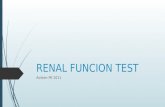 Renal Funcion Test
