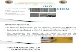 Expocision Patologias Del Concreto Jr