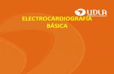 23. EKG Basica e Interpretacion ECG