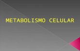 A 1 - Metabolismo Celular