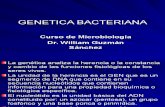 GENETICA Bacteriana Actual