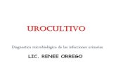 UROCULTIVO micro.pdf