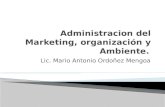 Administracion del Marketing, OrganizaciÃ³n y  Ambiente (1)