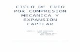 CICLO DE FRIO POR COMPRESION MECANICA Y EXPANSIÓN CAPILAR