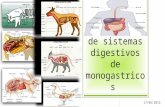 Anatomía y Fisiología de Sistemas Digestivos de Monogastricos