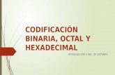 Codificación Binaria, Octal y Hexadecimal
