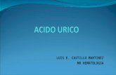 Acido Urico