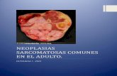 Neoplasias Sarcomatosas más comunes en El Adulto