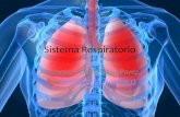 Sistema Respirator i o