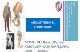 Osteoartritis en El Adulto Mayor-Alva Huaraj, Rosa Alejandra