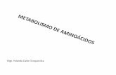 Metab. de Aminoacidos (2)