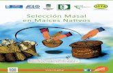 Manual Selección Masal en Maíces Nativos (Agricultores) 2014