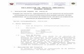 DECLARACION IMPACTO AMBIENTAL.doc