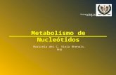Nucleotidos 2015(5)