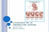 Contracción uterina