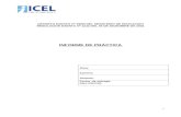 Modelo Informe de Práctica CFT ICEL 2014 Nuevo 2