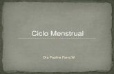 Clase 03 -Ciclo Menstrual