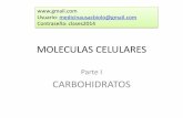 4. Carbohidratos y Lípidos (presentacioin)