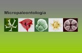 Tema Micropaleontología