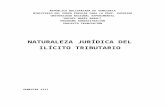 Informe de Naturaleza Juridica Del Ilicito Tributario
