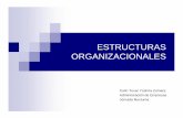 Estructuras Organizacionales