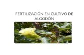 Fertilización en Cultivo de Algodón