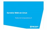 Servicio Web en Linux