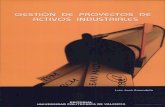 Gestión de Proyectos de Activos Industriales - Luis José Amendola
