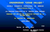 2014- CLjASE 7 -UCV Proceso Querella y de Seguridad.